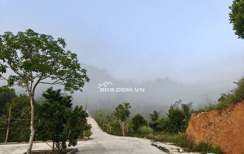 Bán đất nghỉ dưỡng view đẹp tại Khánh Hòa - Hoa hồng cho môi giới: 2%